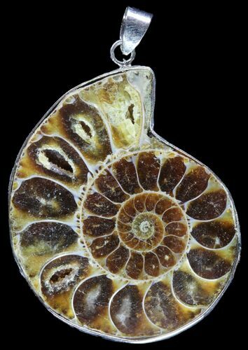 Fossil Ammonite Pendant - Million Years Old #89846